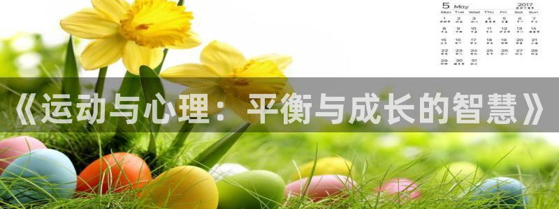 风速体育app