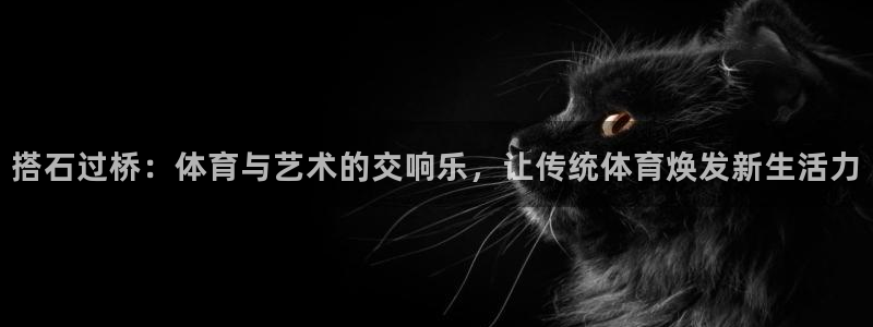 风速体育直播app