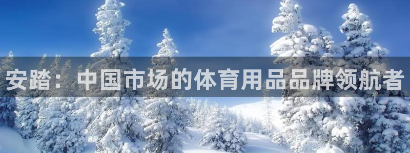 风速体育nba免费直播
