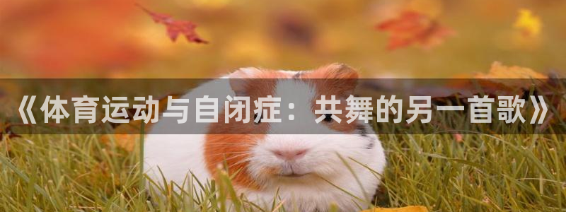 风速体育