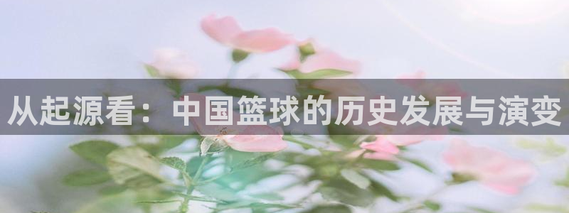 风速体育直播app