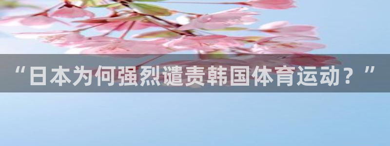 风速体育官网