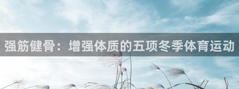风速体育直播