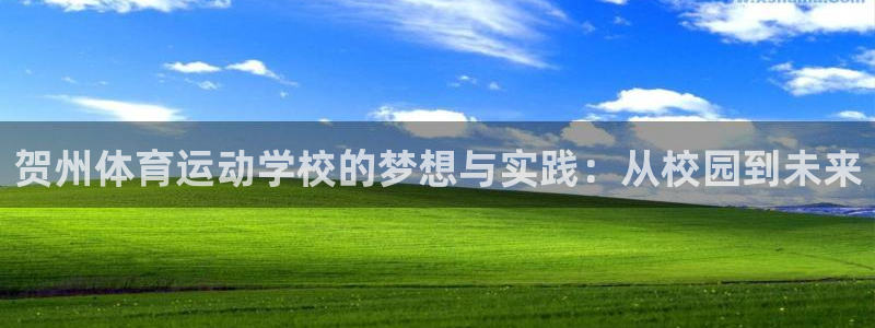 风速体育下载