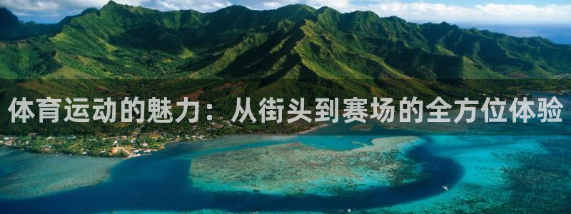 风速体育app下载安装最新版本