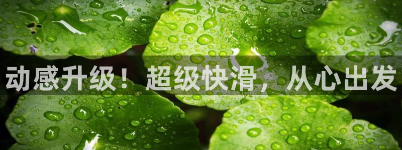 风速体育