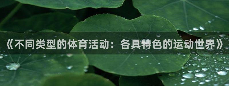 风速体育nba直播