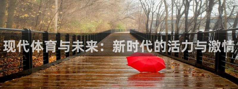 风速体育nba直播