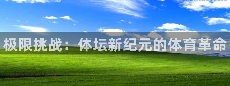 风速体育直播app