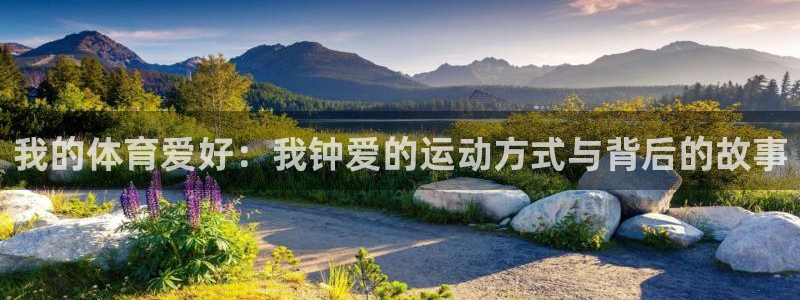 风速体育nba直播