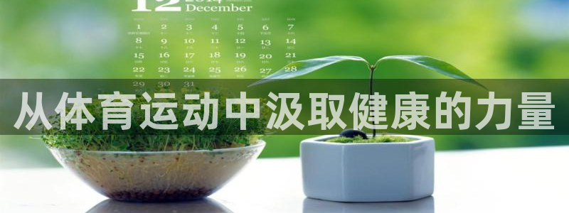 风速体育nba直播