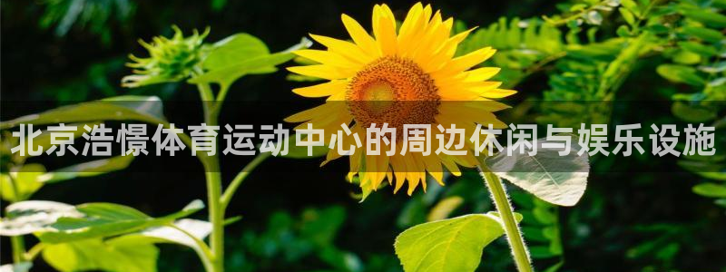 风速体育app下载官网最新版