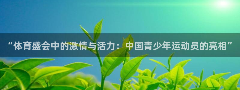 风速体育app