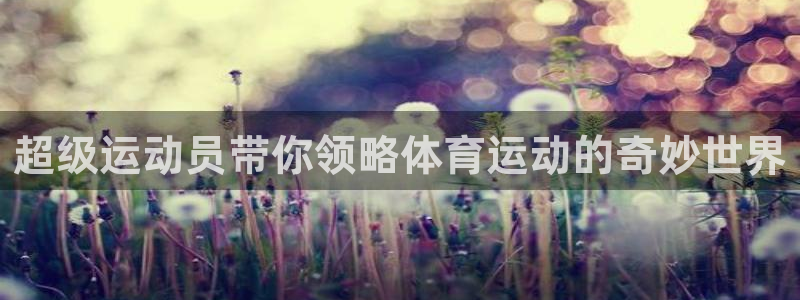 风速体育直播